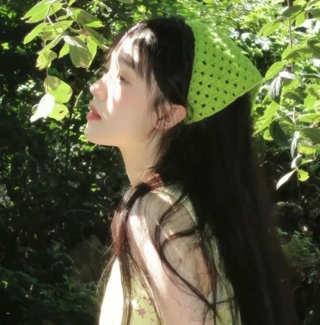 羊与钢的森林